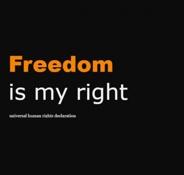 Freedom is my right minimalistic style/GA - Victoria GA 