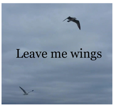 AC:Wings - Jendil