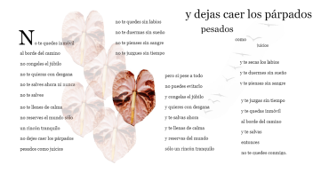 AB: Benedetti - lapislazuliwi